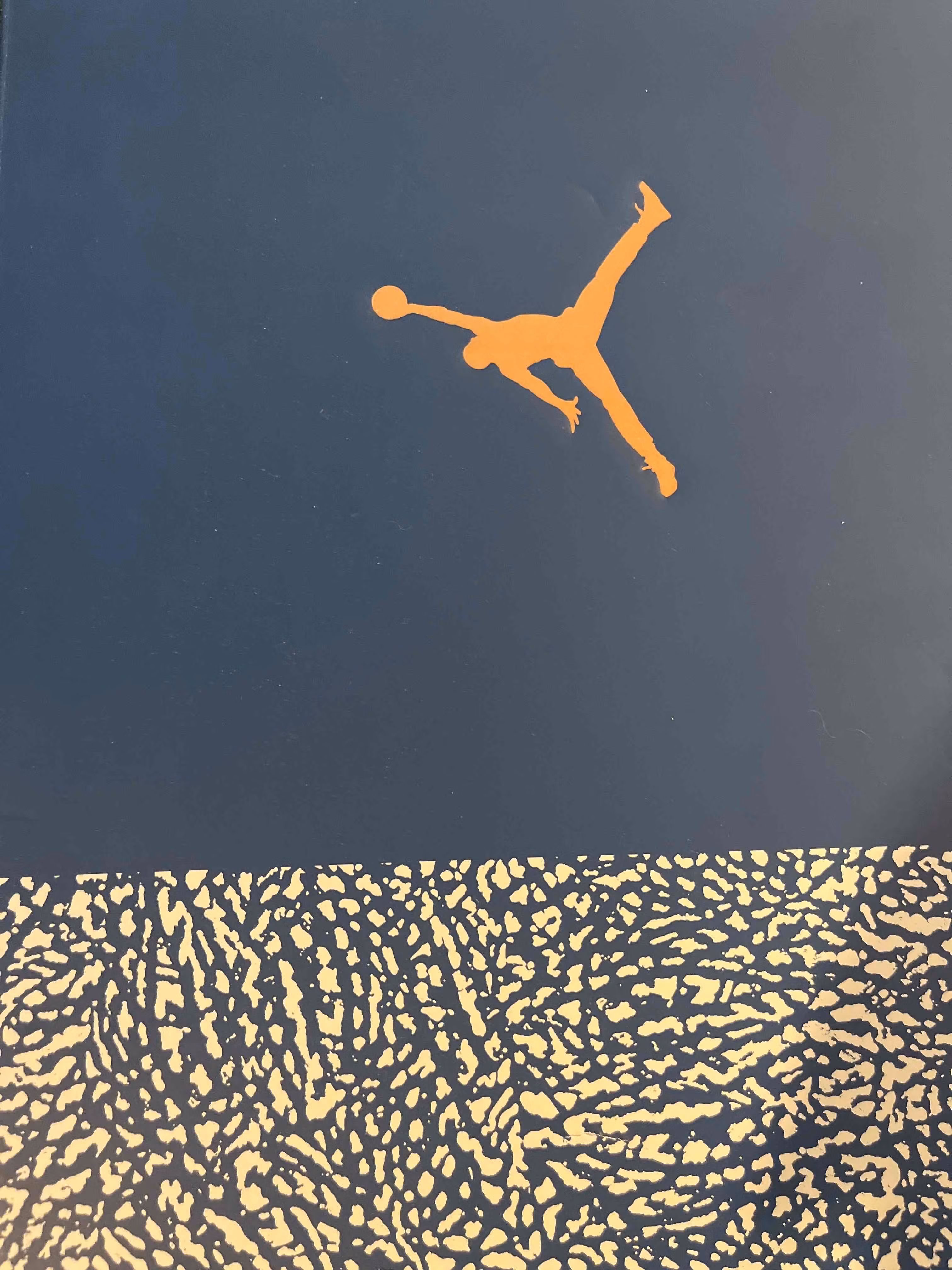 Air Jordan 3 'Wizards' CT8532-148 Air Jordan 3 'Wizards' CT8532-148